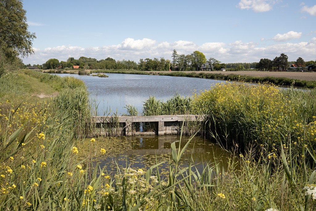 sint Annabos polderbos annapolder natuurgebied natuurmonumenten hdr rockanje voorne putten bos wandelroute polder oostvoorne